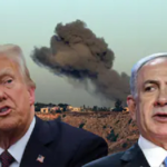 8-1781607307